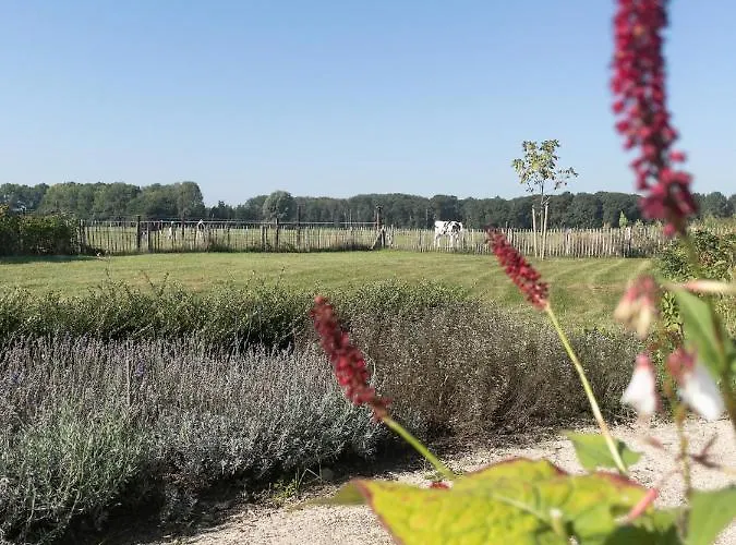 Het Veldhuis Beuningen (Gelderland)