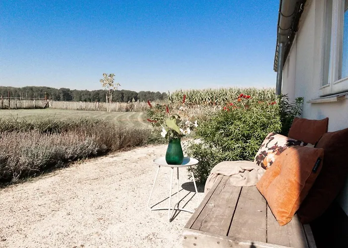 Het Veldhuis Holiday home *